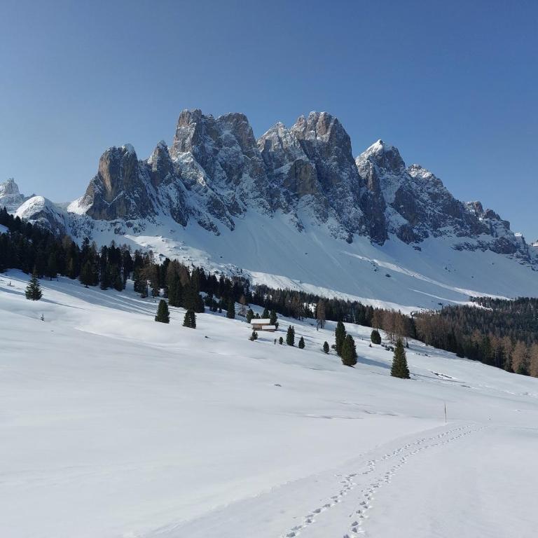 Dolomiten Home - Appartamento con 1 Camera da Letto - 5