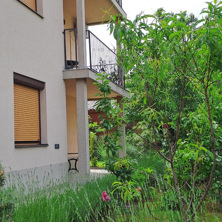 Apartmani Talija 3 i 4 Sokobanja - Apartman - 19