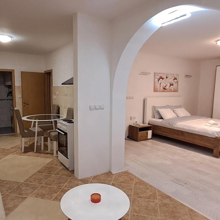 Apartmani Talija 3 i 4 Sokobanja - Apartman - 17