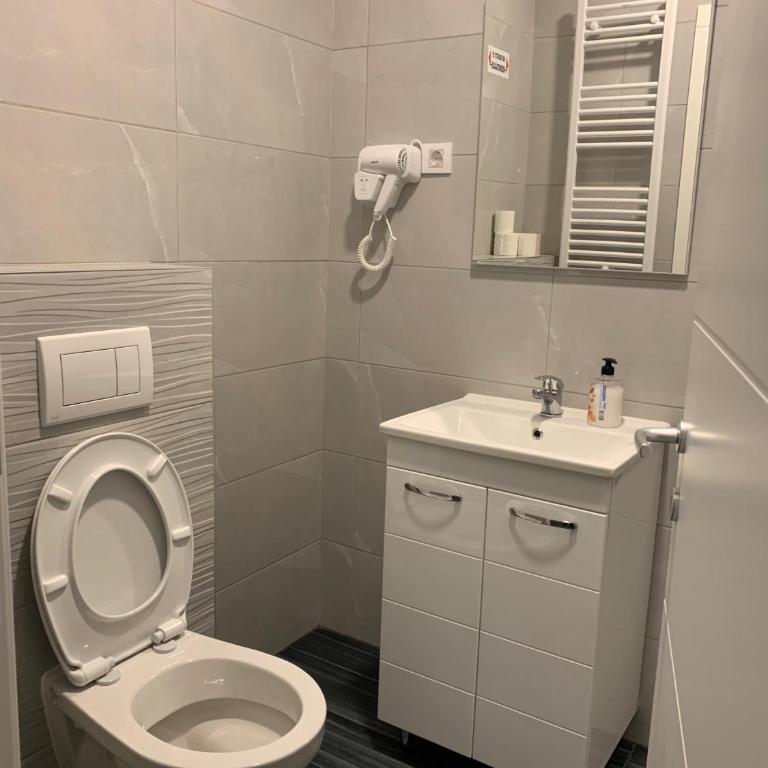 Zlatni San apartman 3 - Apartman sa 1 Spavaćom Sobom - 10