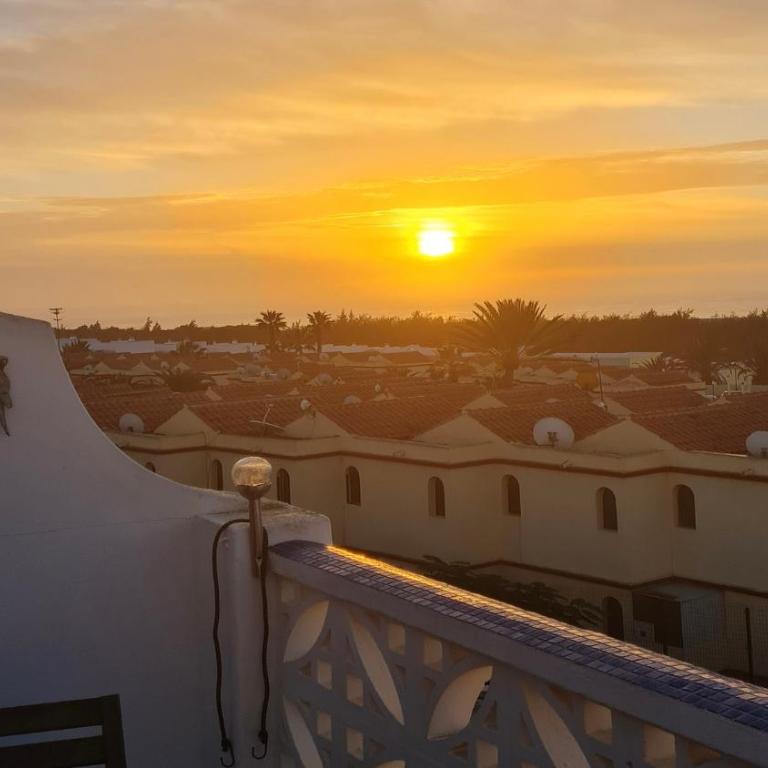Welooveyou Parrots - Apartamento de 1 dormitorio - 2
