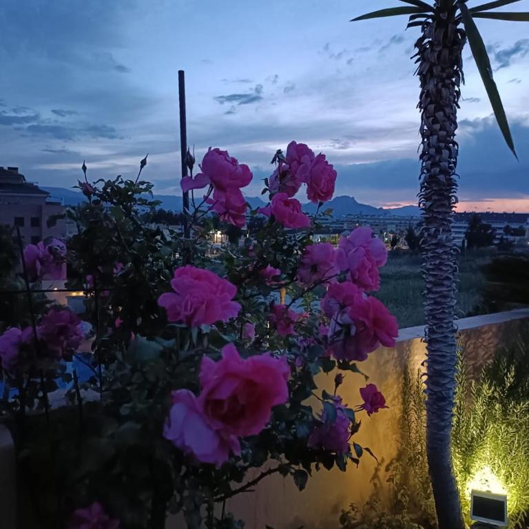 Atico Flores y Mar - Apartamento de 3 dormitorios con vistas al mar - 26