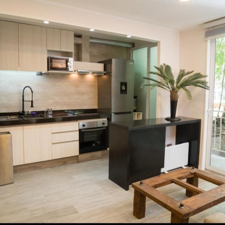Arriendo departamento full equipado en Pucón - Apartamento de 1 dormitorio - 2