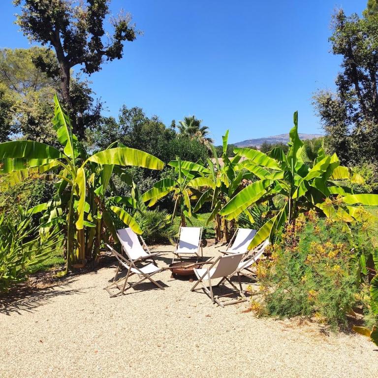 Villa avec piscine au milieu des bois - Villa - 7
