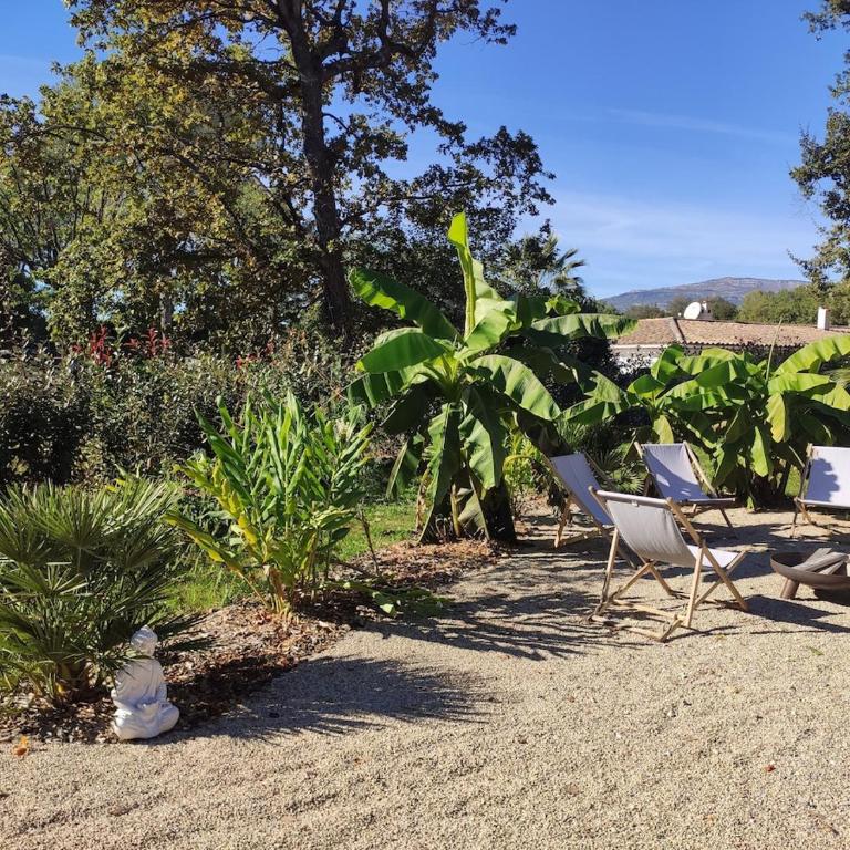 Villa avec piscine au milieu des bois - Villa - 8