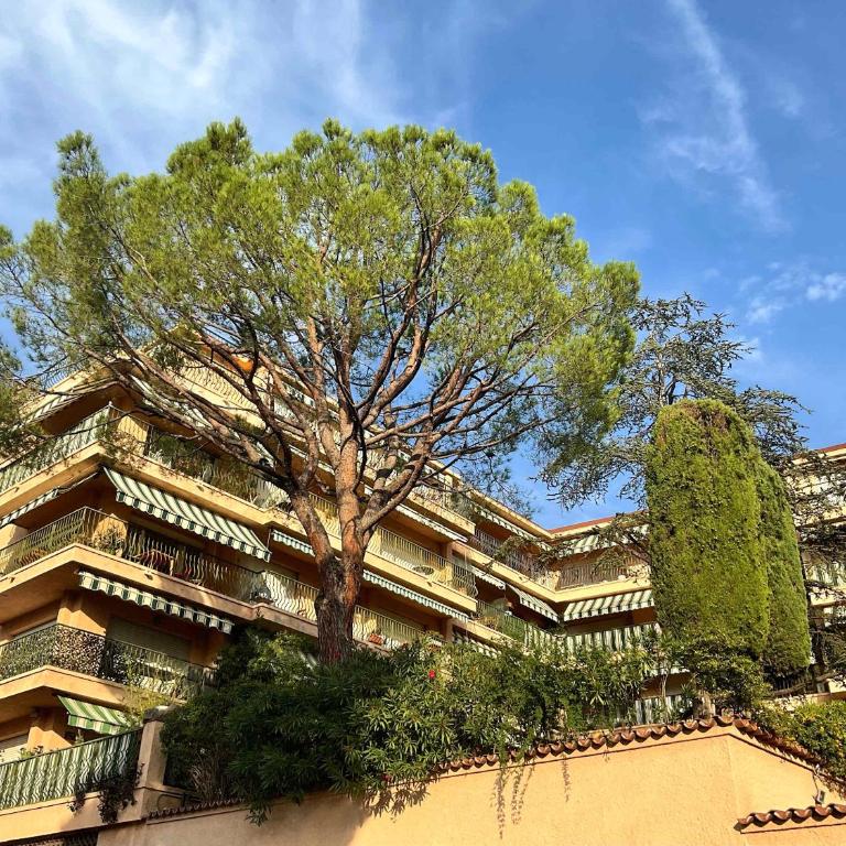 Lympia - one bedroom apartment near the port - Appartement - 17