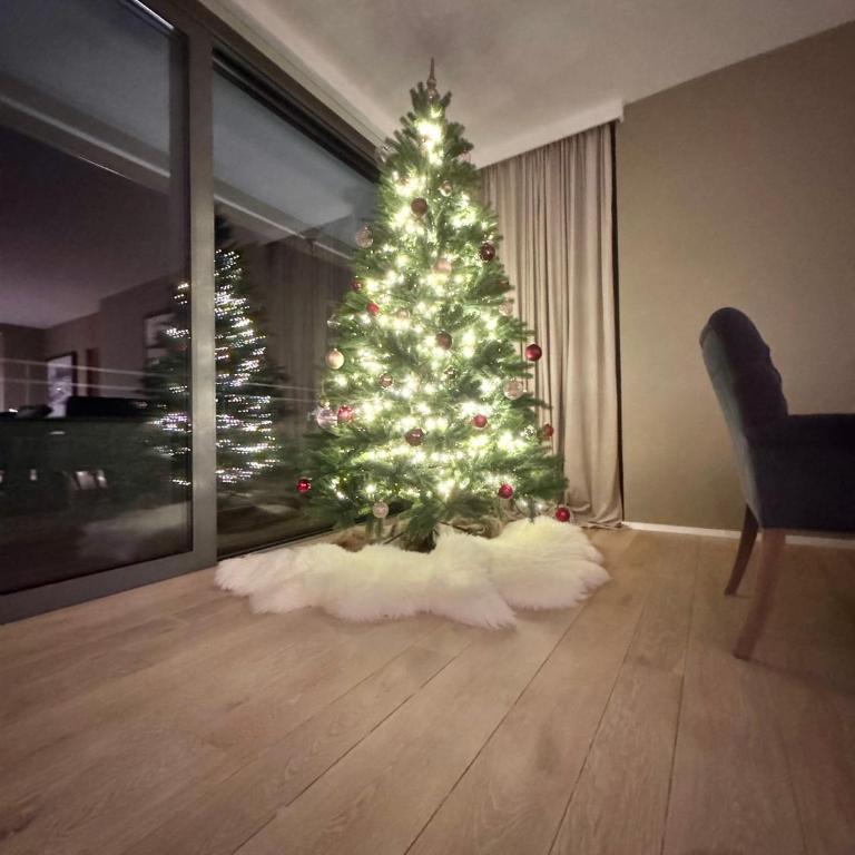Alpine Luxury Apartment Davos with Spa Access to 5 Star Hotel - Apartment mit 2 Schlafzimmern - 9