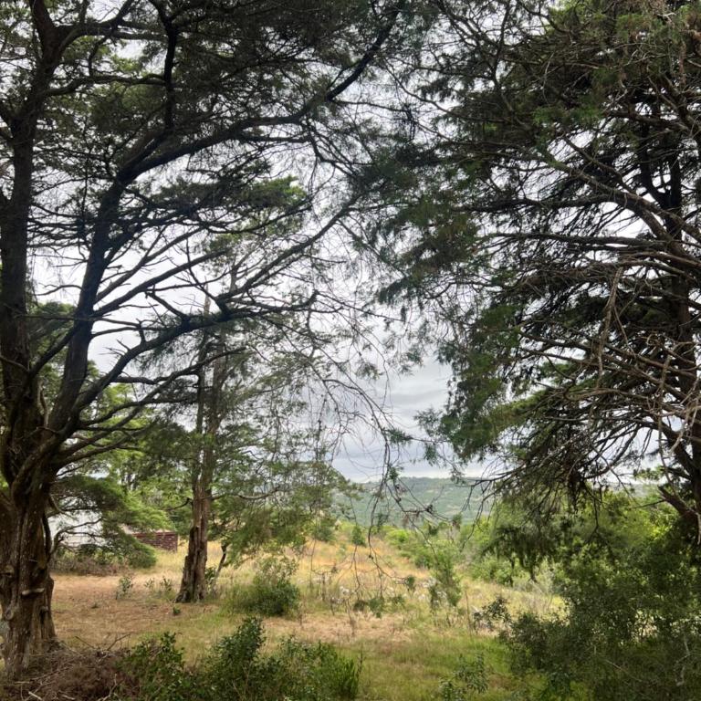 NuestroSueño - Two-Bedroom House - 34