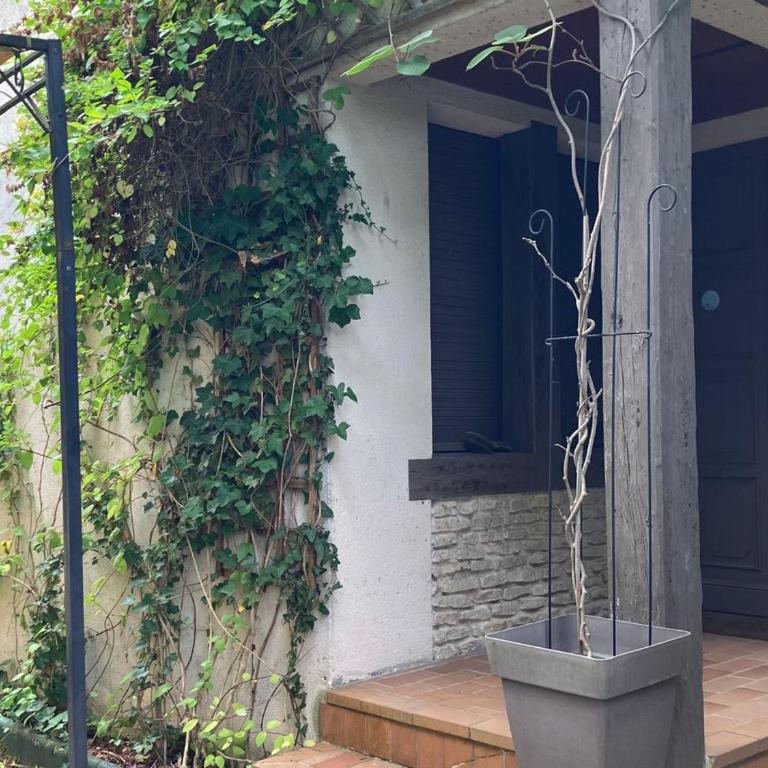 Maison spacieuse entre mer et campagne avec terrasse et jardin à Villers-sur-Mer - FR-1-712-91 - Casa - 9
