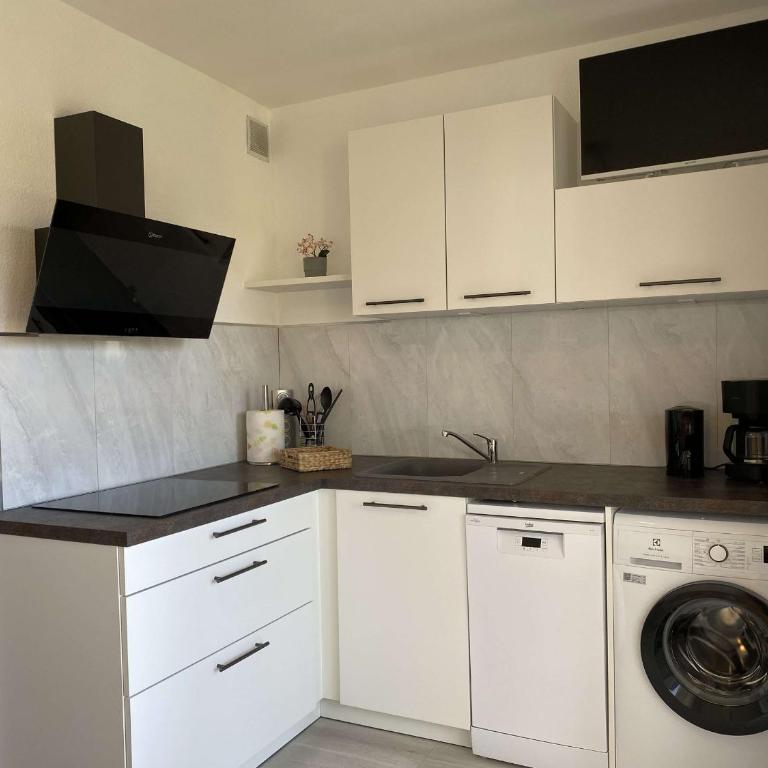 Beau T1 avec vue sur l'étang à Balaruc-les-Bains - FR-1-553-294 - Appartement - 6