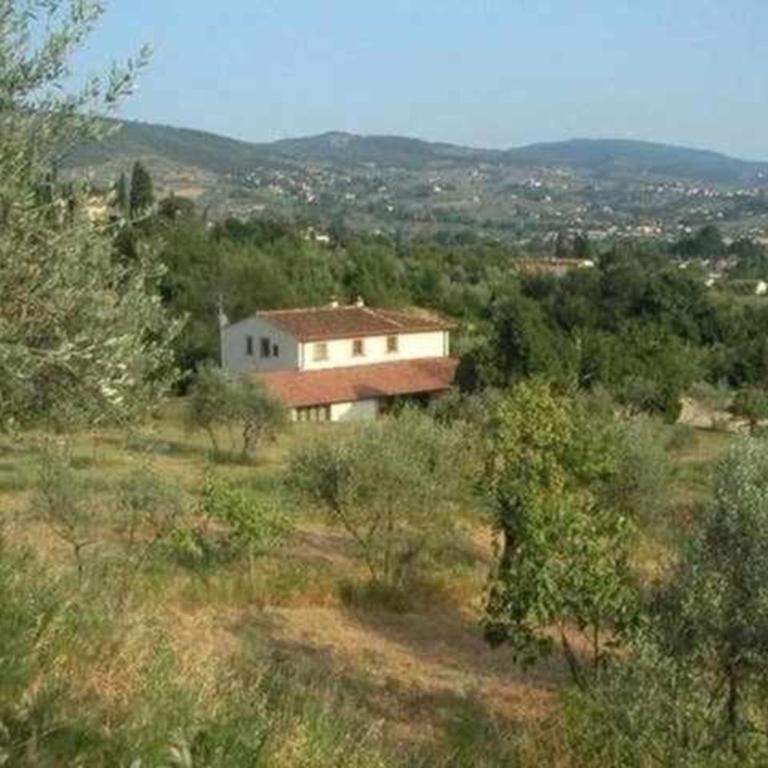 Il Frantoio delle Grazie - One-Bedroom Apartment with Pool View (4 Adults) - 30