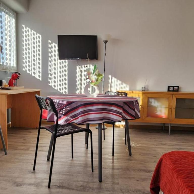 Studio proche Hopital CHU BORDEAUX - Appartement - 2