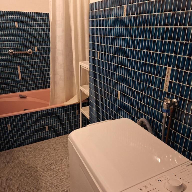 Chez Isabelle et Florent - Logis Familial du Lac - Apartment mit 1 Schlafzimmer - 16