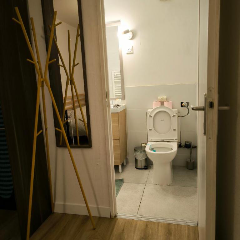 t2 spacieux proche zénith&aéroport&purpan - Apartamento de 1 dormitorio - 8