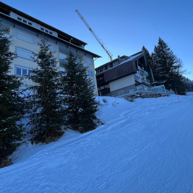 Sonnenalpe Nassfeld in 1500 m Höhe an der Skipiste - Superior Apartment mit Balkon - 22