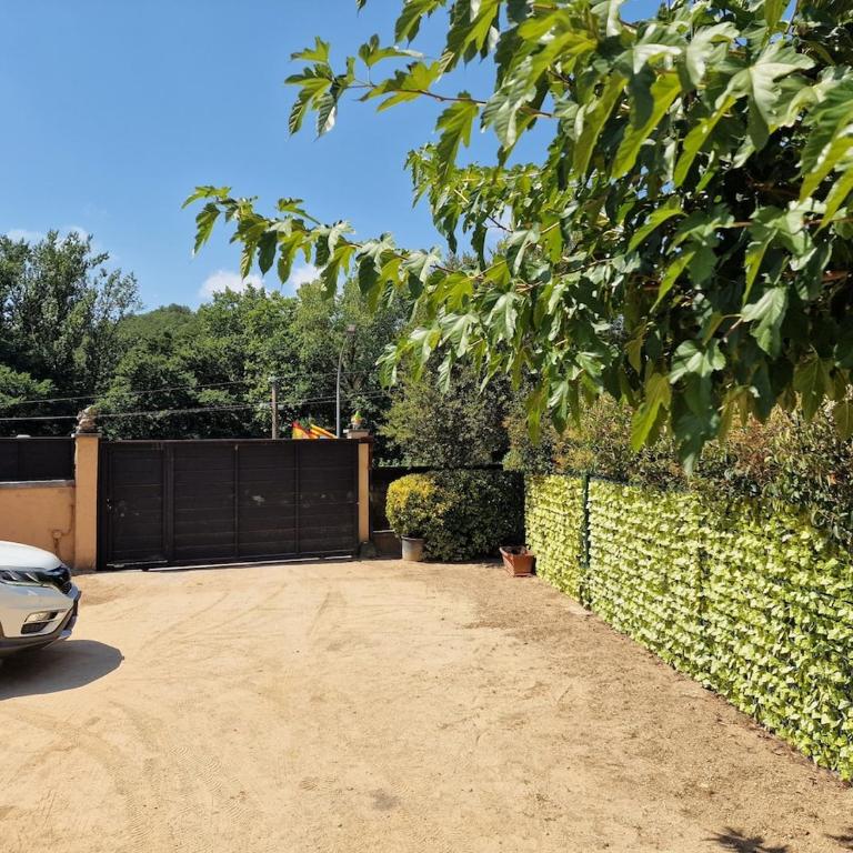 Family Vacation Casita - Three-Bedroom Apartment - 12
