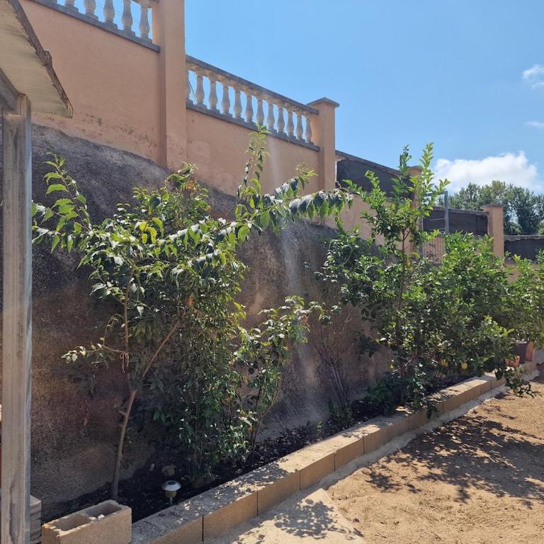 Family Vacation Casita - Three-Bedroom Apartment - 38