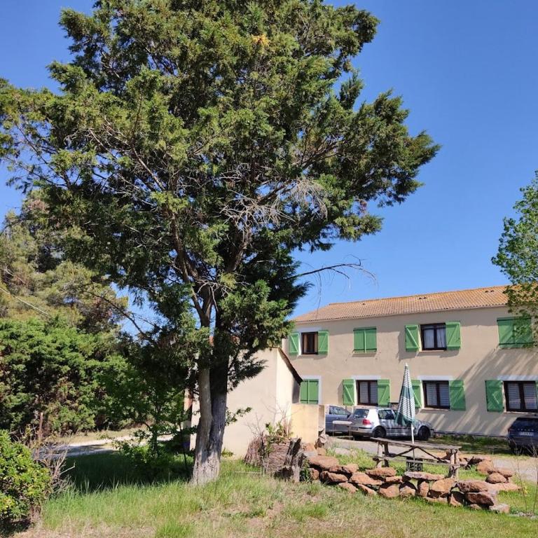 Belle vue sur l Herault et les bateaux - Appartement 2 Chambres - 29