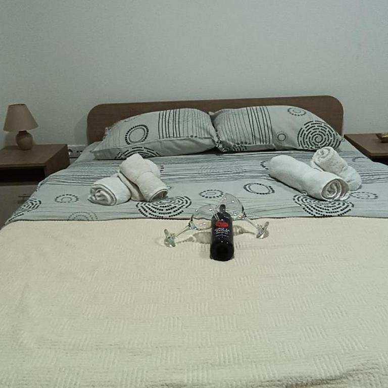 Studio Dimitrije 15 - Apartman sa 1 Spavaćom Sobom - 8