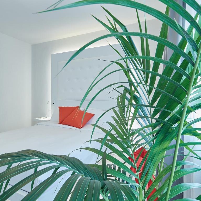 Via Roma 25 Bed&Breakfast - Camera Matrimoniale - 6