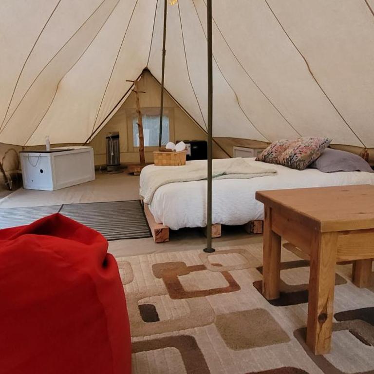 Glamping Bosque - Río Villarrica - Tienda - 18