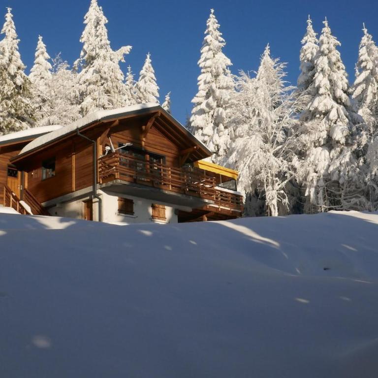 La Sérotine Chalet GERARDMER - Chalet - 1