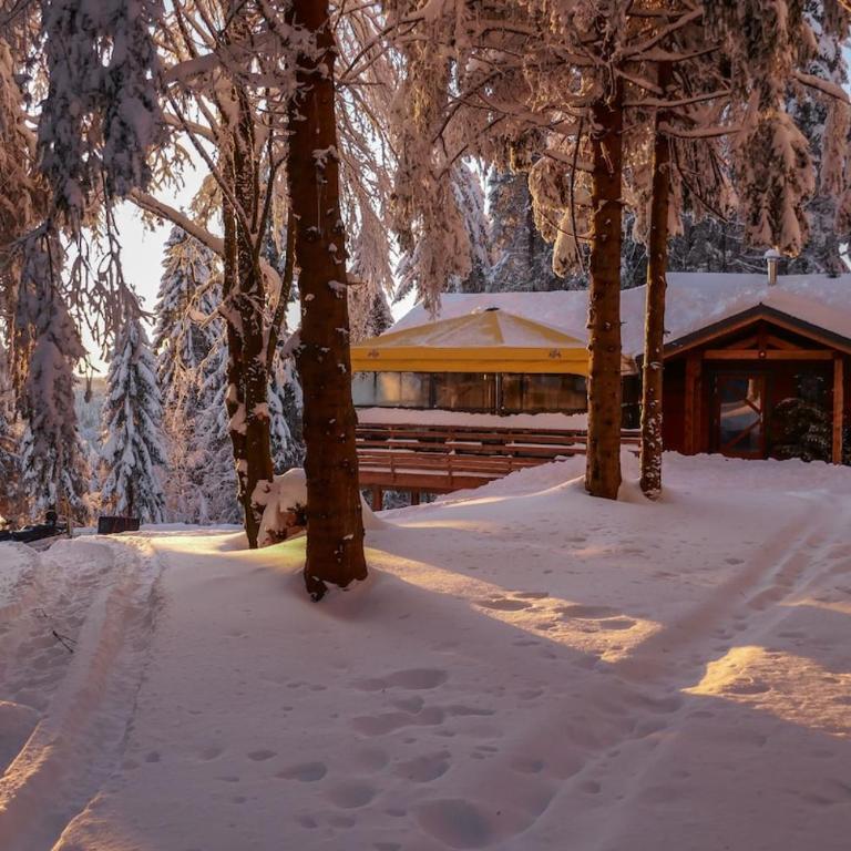 La Sérotine Chalet GERARDMER - Chalet - 12