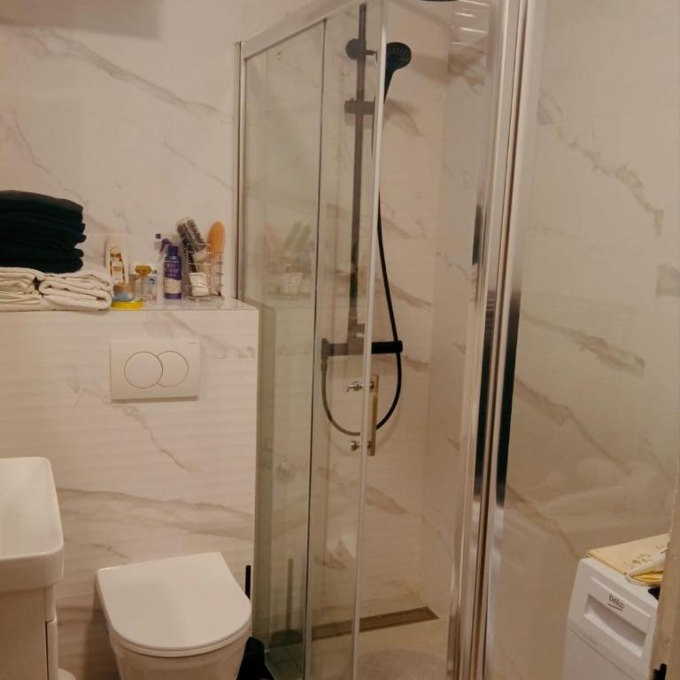 Apartman Marković - Apartman sa 1 Spavaćom Sobom - 4