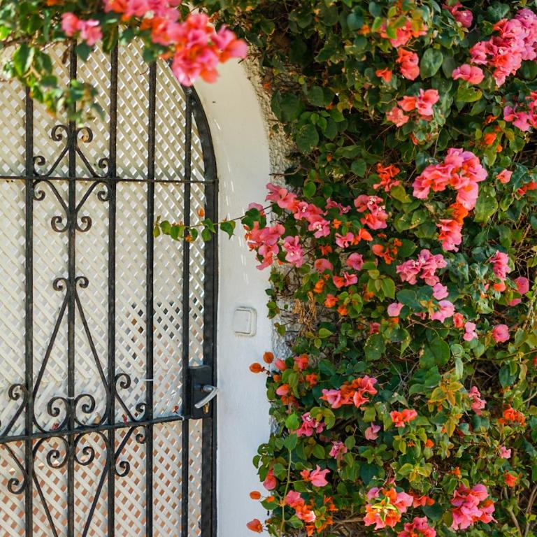 Beautiful beach house in Estepona - Casa - 2