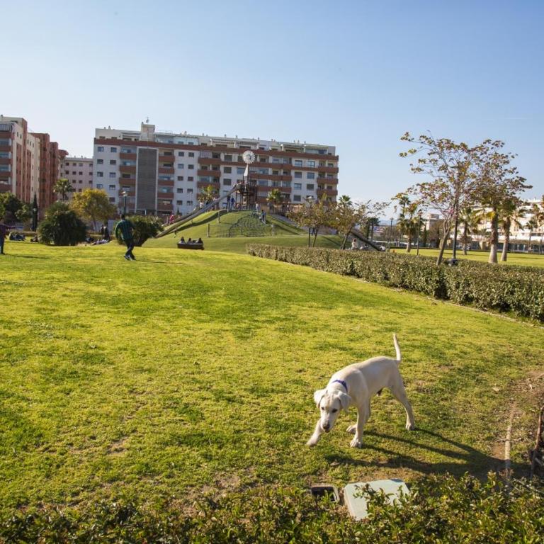 Jardines del Litoral Momas Homes - Apartamento de 3 dormitorios - 40
