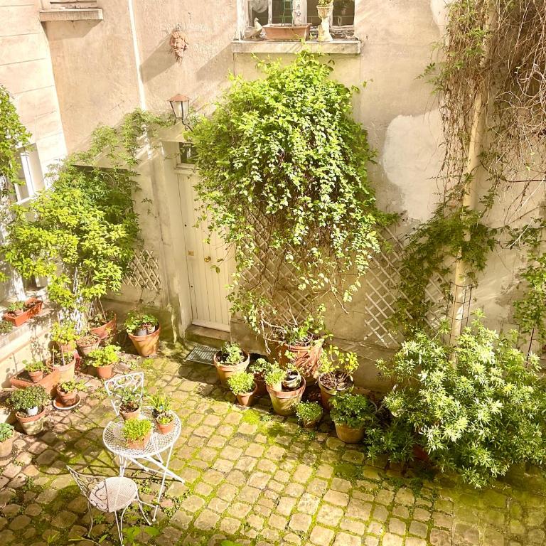 Bel appartement ancien sur cour verdoyante - Appartement 1 Chambre - 1