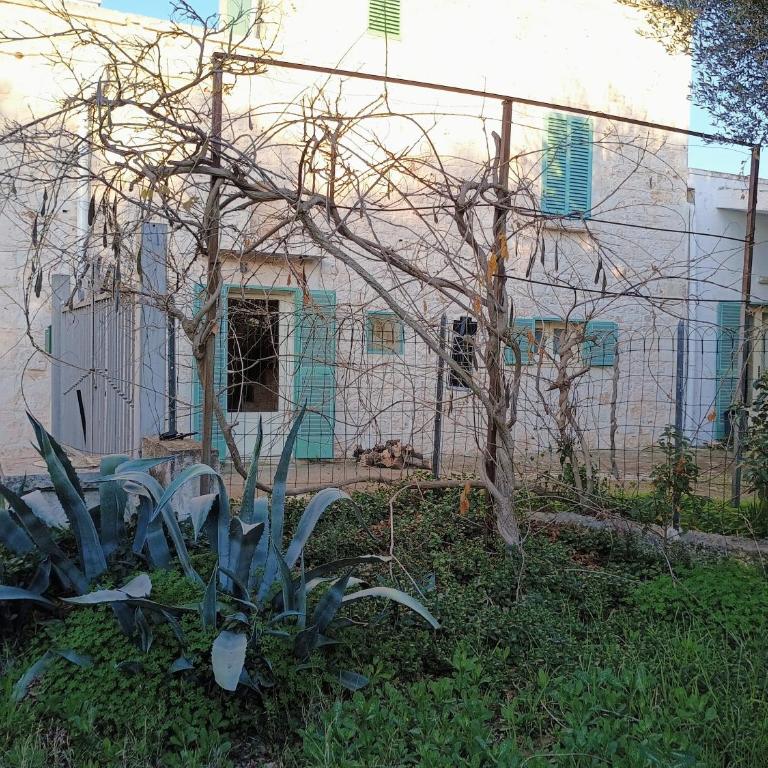 Dimora Lama Cerase - Casa con 1 Camera da Letto - 7