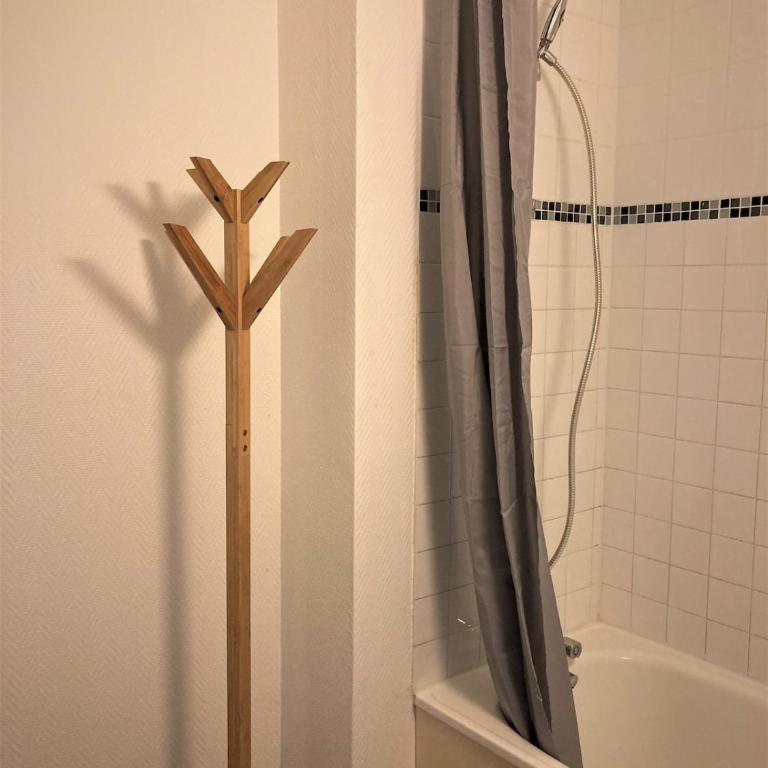 Appartement double à Limoges - Appartamento con 1 Camera da Letto - 7