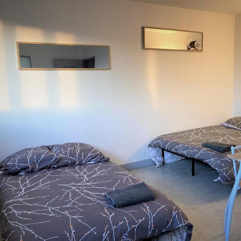 Appartement double à Limoges - Appartamento con 1 Camera da Letto - 11