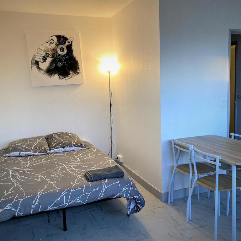 Appartement double à Limoges - Appartamento con 1 Camera da Letto - 12