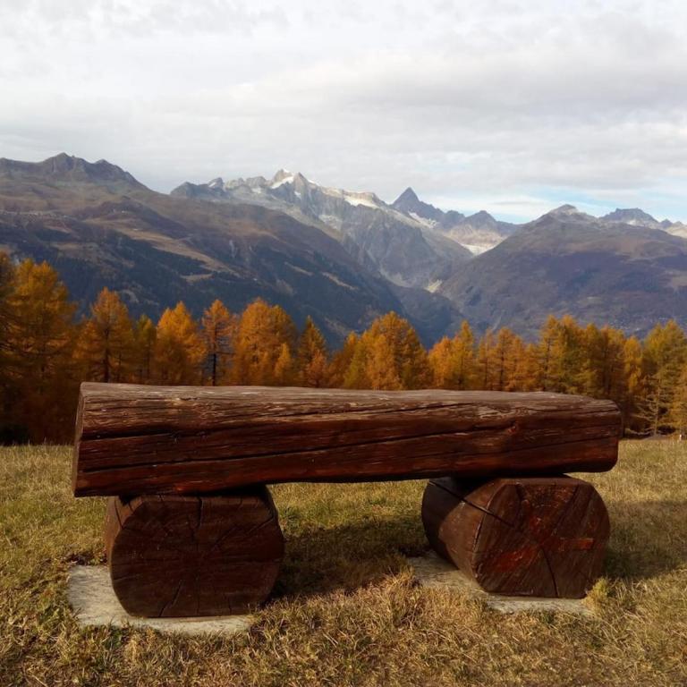 Alpenrose Aletsch Landschaftspark Binntal - Apartment mit 3 Schlafzimmern - 3
