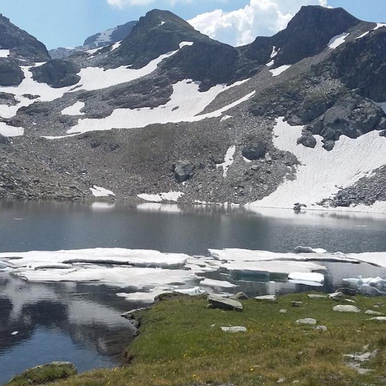 Alpenrose Aletsch Landschaftspark Binntal - Apartment mit 3 Schlafzimmern - 7