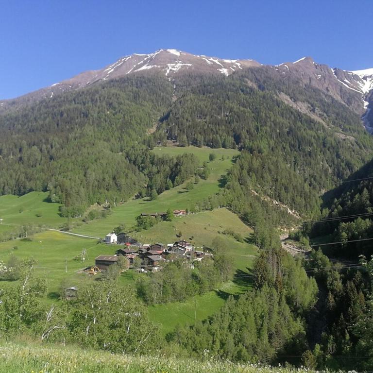 Alpenrose Aletsch Landschaftspark Binntal - Apartment mit 3 Schlafzimmern - 10