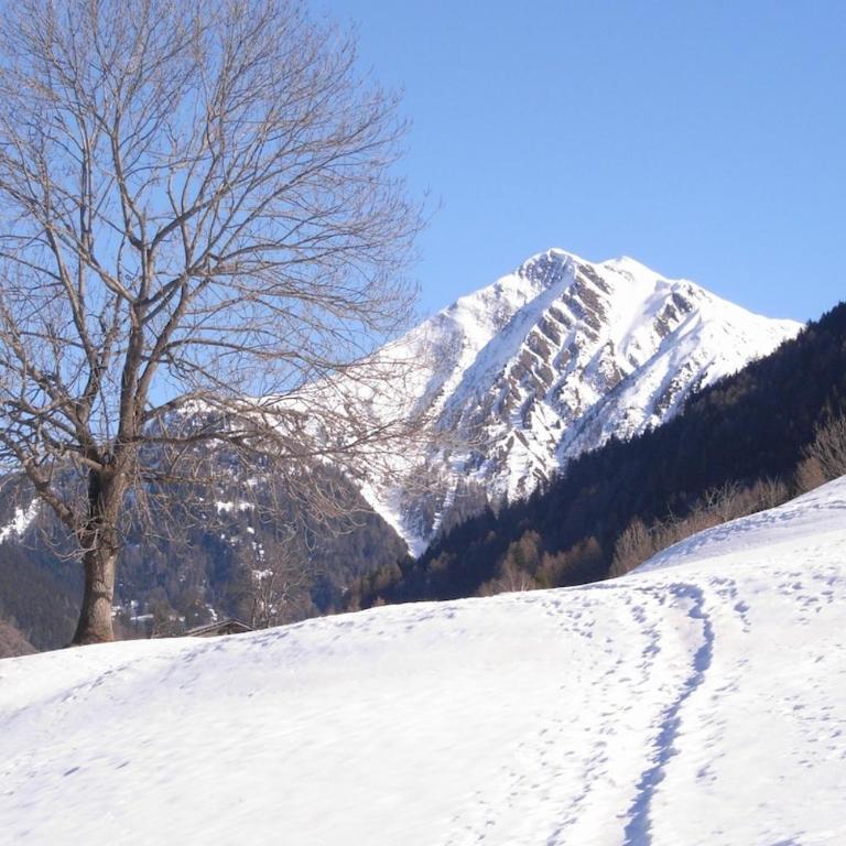 Alpenrose Aletsch Landschaftspark Binntal - Apartment mit 3 Schlafzimmern - 12