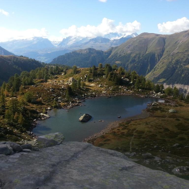 Alpenrose Aletsch Landschaftspark Binntal - Apartment mit 3 Schlafzimmern - 16