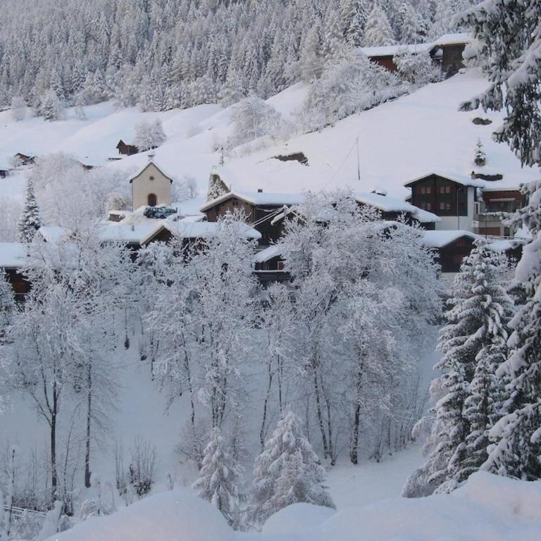 Alpenrose Aletsch Landschaftspark Binntal - Apartment mit 3 Schlafzimmern - 17