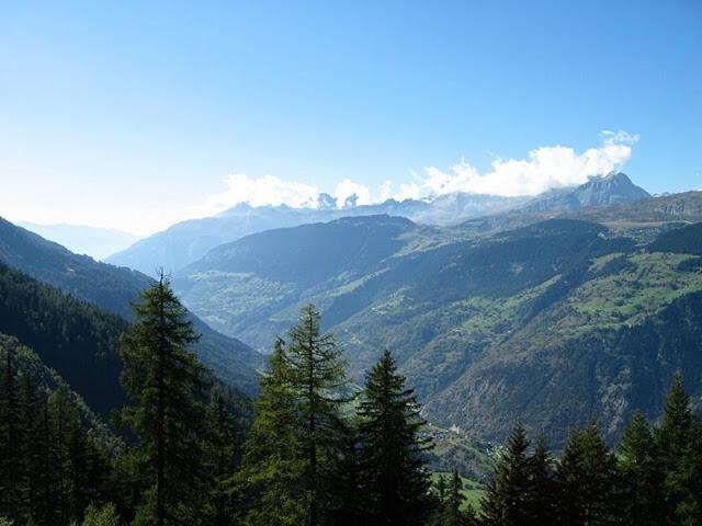 Alpenrose Aletsch Landschaftspark Binntal - Apartment mit 3 Schlafzimmern - 26