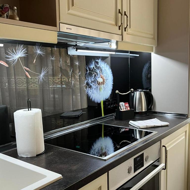 Alma Panonia Apartments- Old town - Apartman sa 1 Spavaćom Sobom - 15