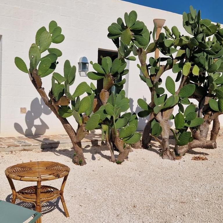 Masseria Paradiso Ostuni - Suite with Garden View - 15