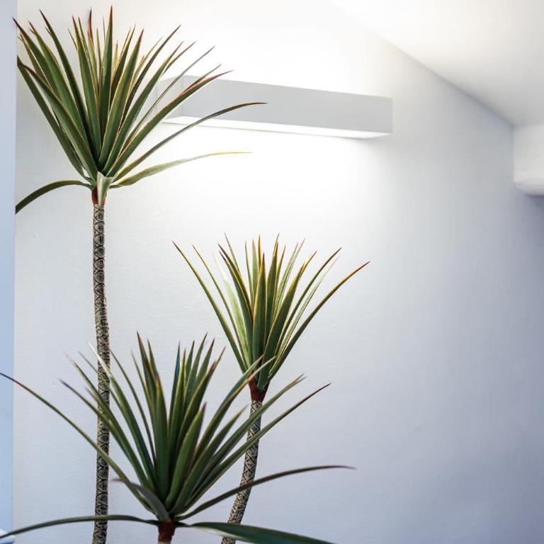 Suite Sovoy Porta Romana - Appartamento con 1 Camera da Letto - 22