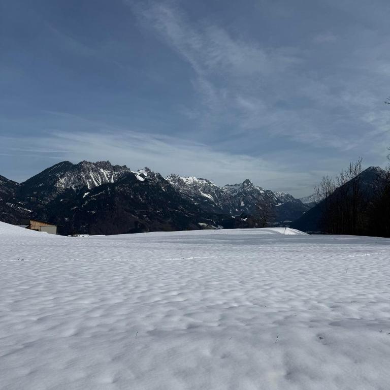BergNest Brandnertal - One-Bedroom Apartment - 29