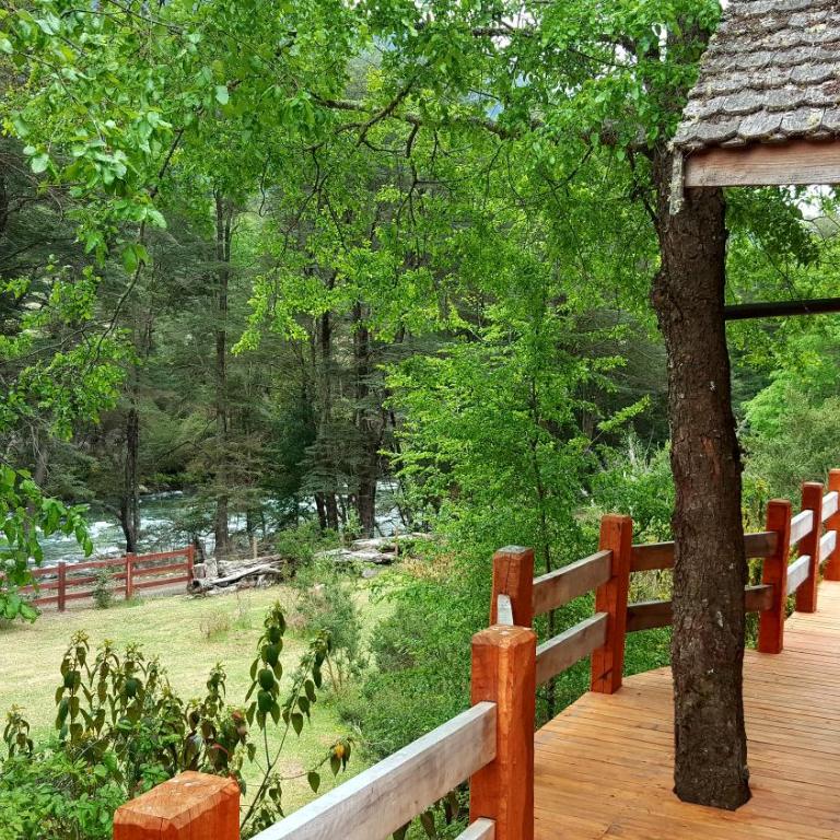 Lodge Altos de Curarrehue - Casa de 4 dormitorios - 2