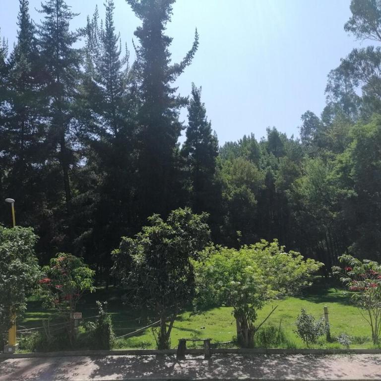 Hogar del Bosque - Apartamento de 3 dormitorios - 19