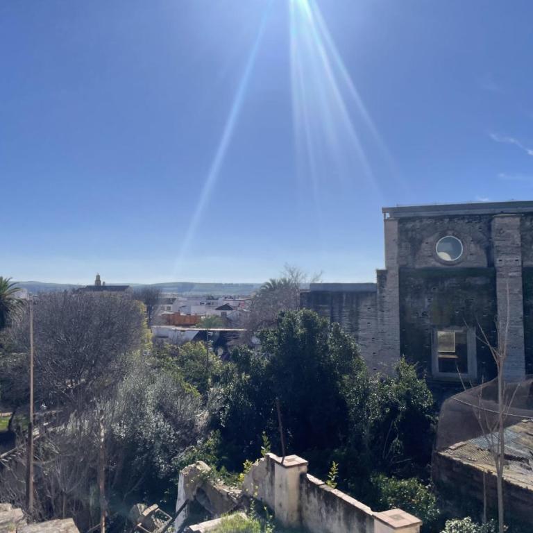 CENTRO - Patio Andaluz San Pablo - PARKING GRATIS- WIFI - Apartamento de 3 dormitorios Premium - 34