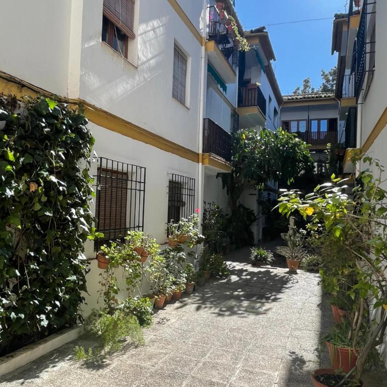 CENTRO - Patio Andaluz San Pablo - PARKING GRATIS- WIFI - Apartamento de 3 dormitorios Premium - 22